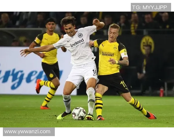 德甲精彩对决那不勒斯3-0击败多特蒙德神扑引发全场热议与争议判罚