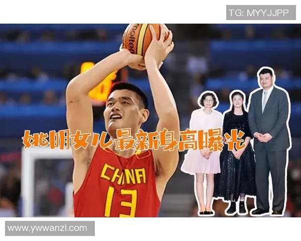 姚明退役后与家人共度温馨时光回顾篮球生涯的点滴瞬间