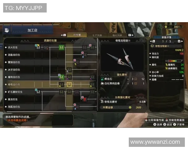 科学CSGO耐力训练方法提升游戏表现的全面指南